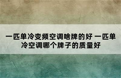 一匹单冷变频空调啥牌的好 一匹单冷空调哪个牌子的质量好